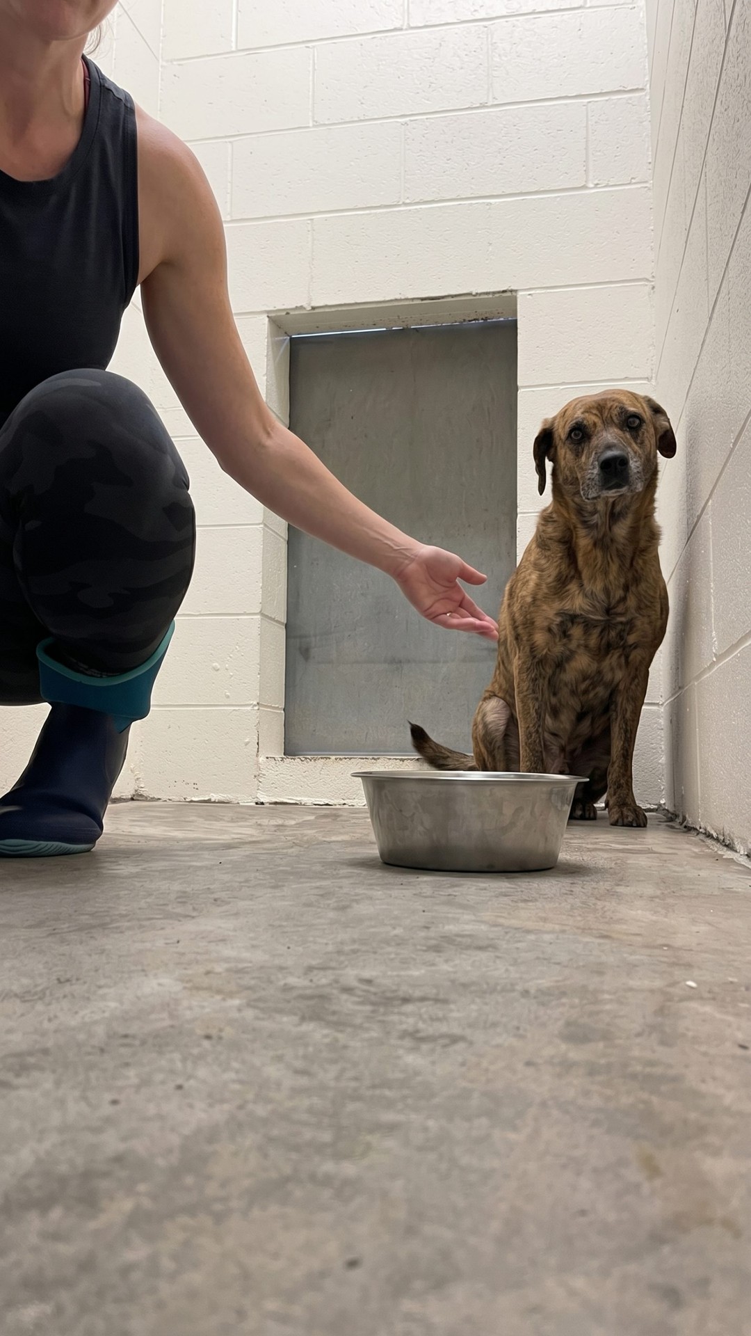 Tuna's Heartwarming Transformation After Being Rescued from Trauma