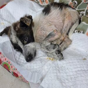 Calvin's Jaw Surgery: A Turning Point After Severe Abuse