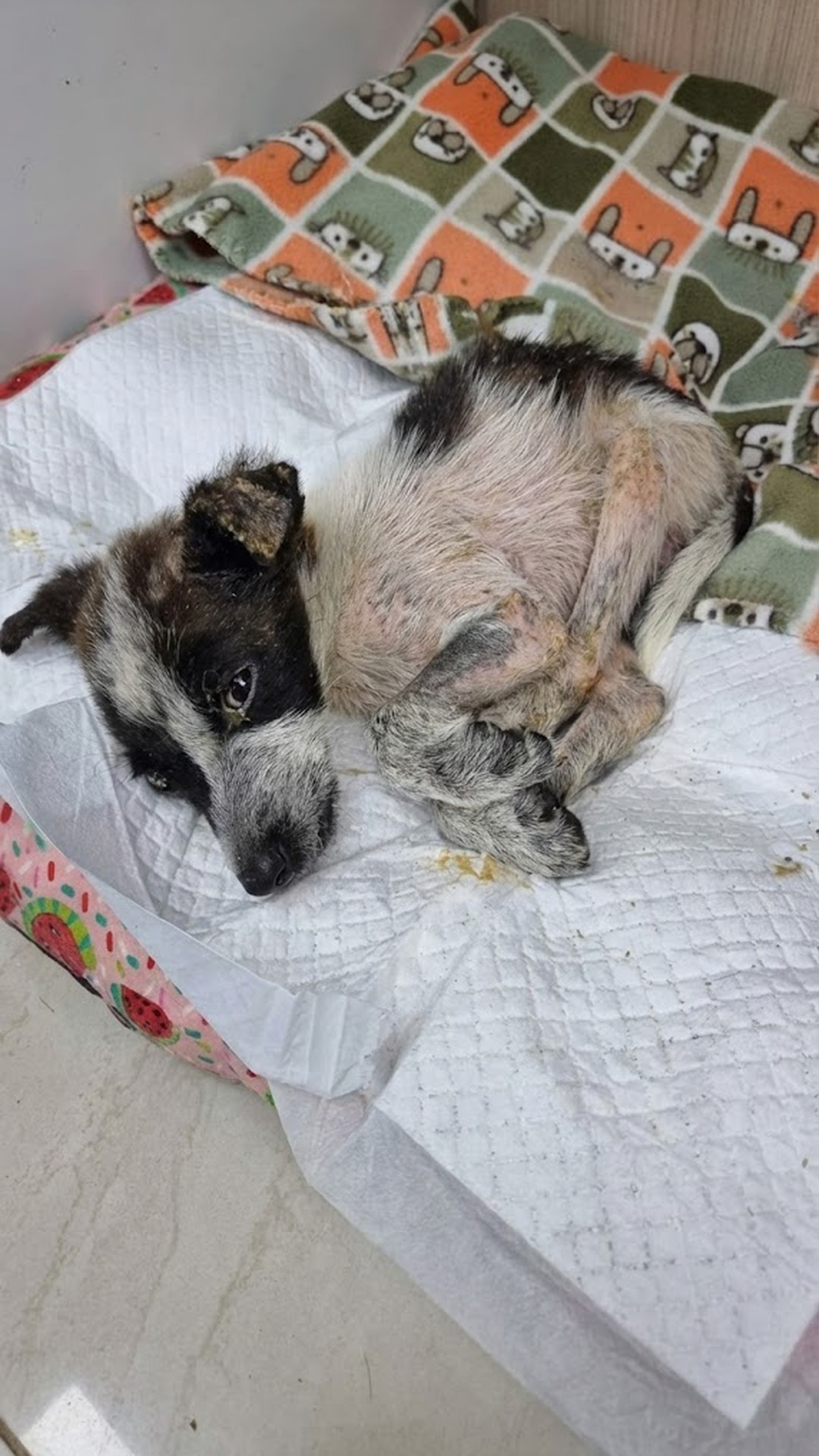 Calvin's Jaw Surgery: A Turning Point After Severe Abuse