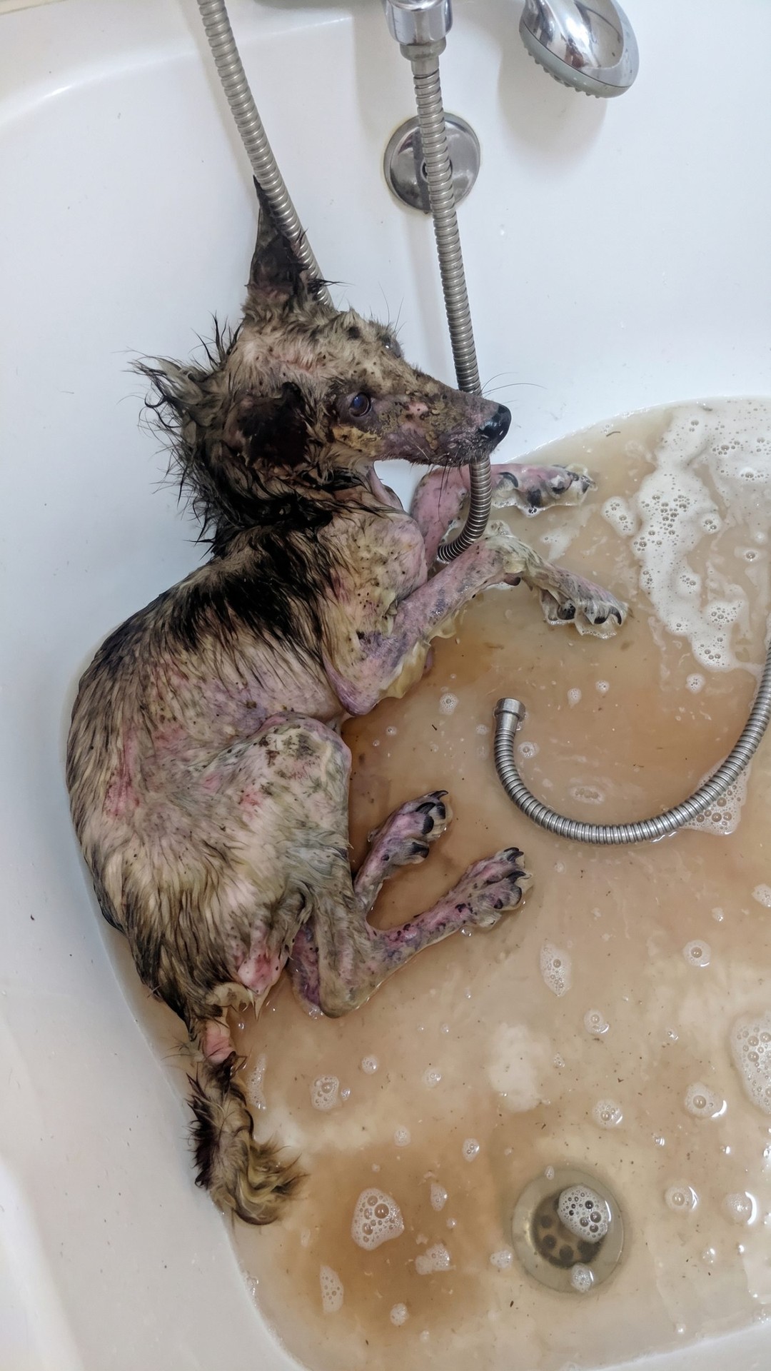 Rescue of Fighter: A Freezing Night Leads to a New Beginning