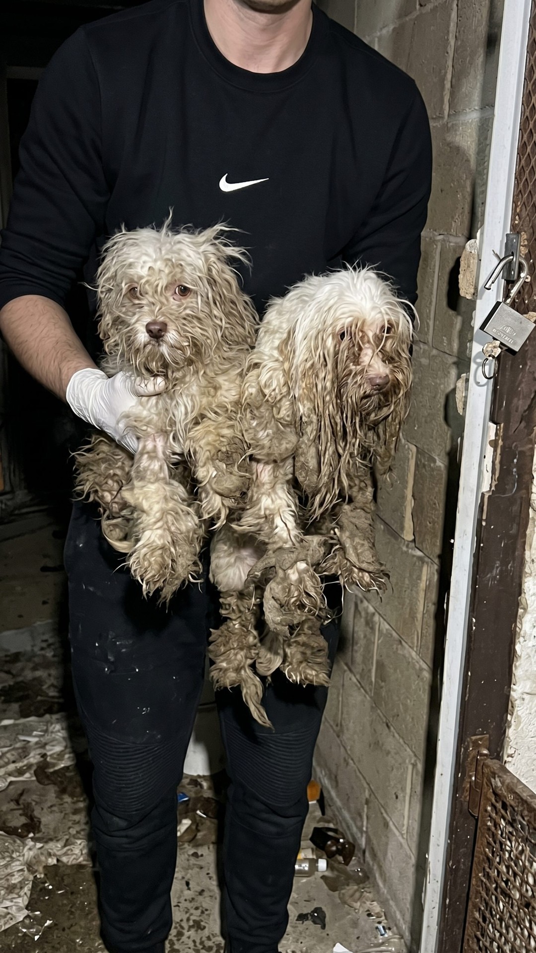 Minnie Takes Her First Steps After Overcoming Severe Neglect