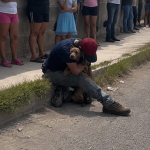 Firefighters Rescue Pregnant Dog From Burning Home in Chihuahua