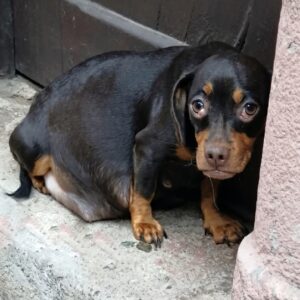 Roma's Incredible Recovery After a Harrowing Betrayal