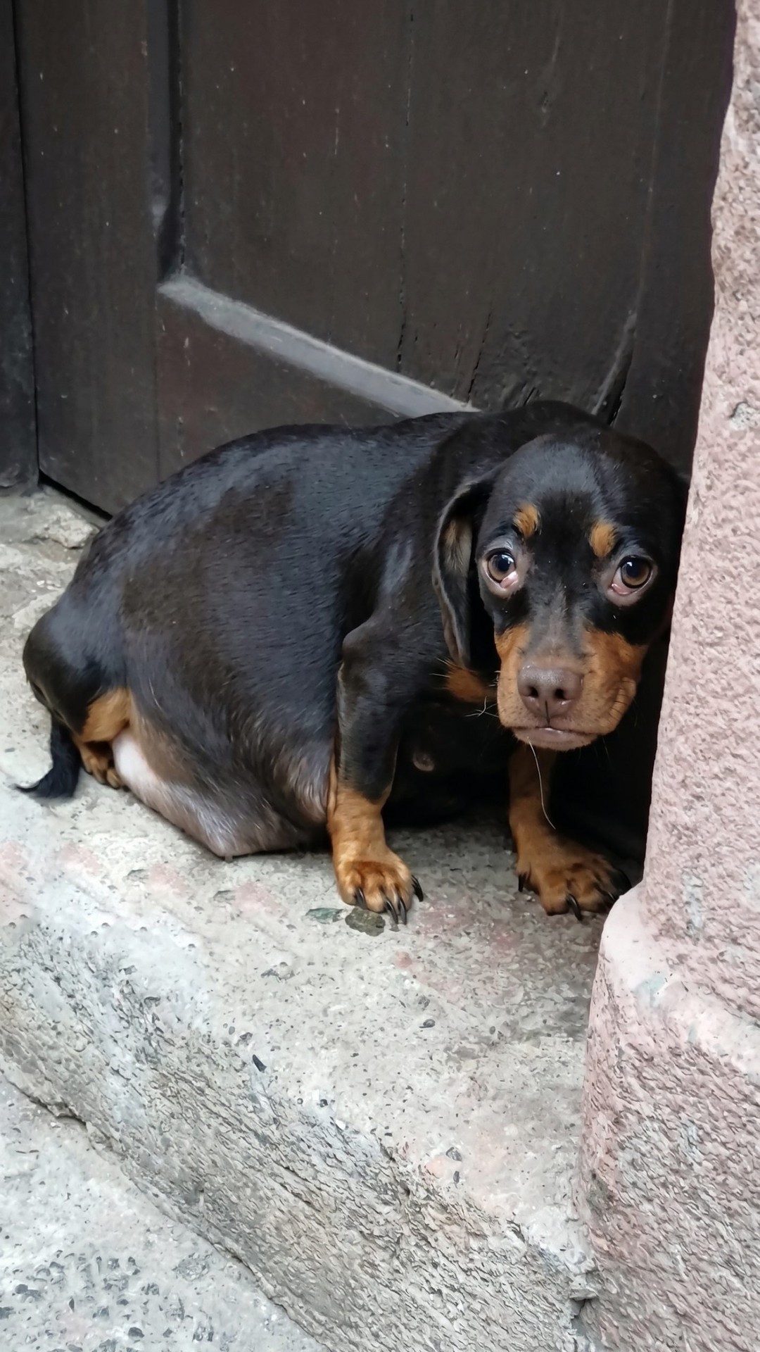 Roma's Incredible Recovery After a Harrowing Betrayal