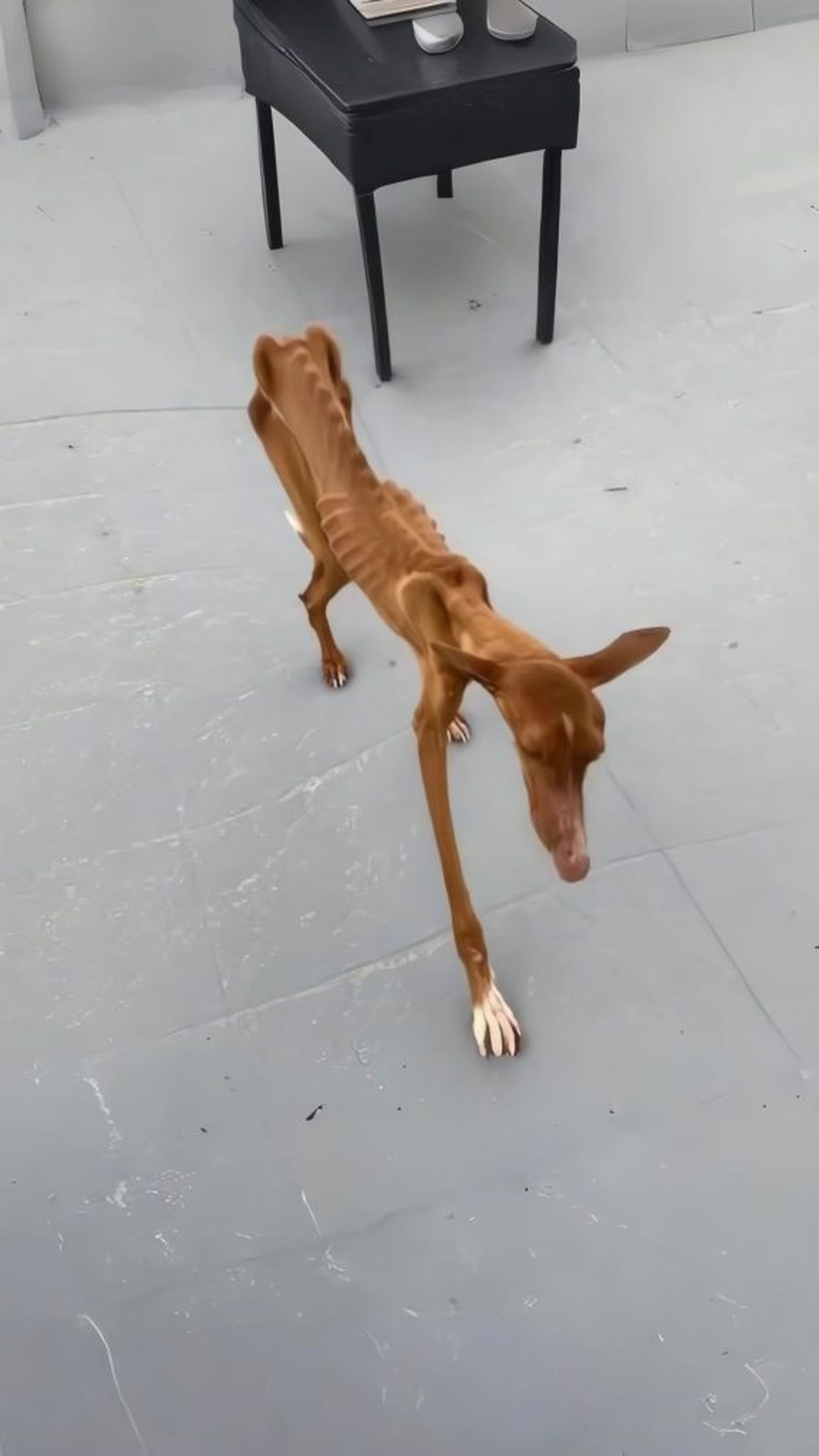 Felix Stands on His Own: A Major Milestone in Recovery