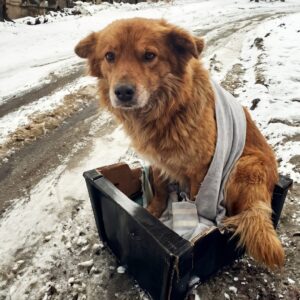 Veta's Journey: From Paralyzed on the Streets to Protecting New Life