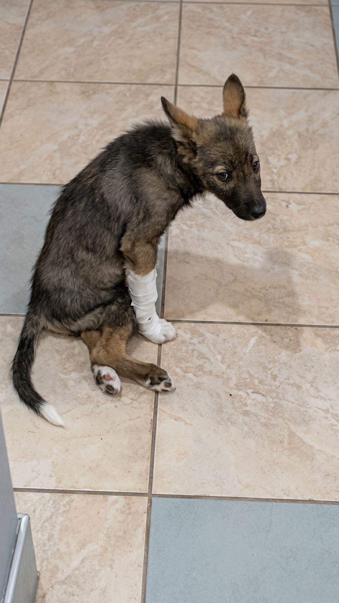 Izum's Recovery: From Paralysis to First Steps in 66 Days