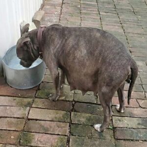 From Desperation on the Streets to Safety: Winnie’s Journey to Motherhood