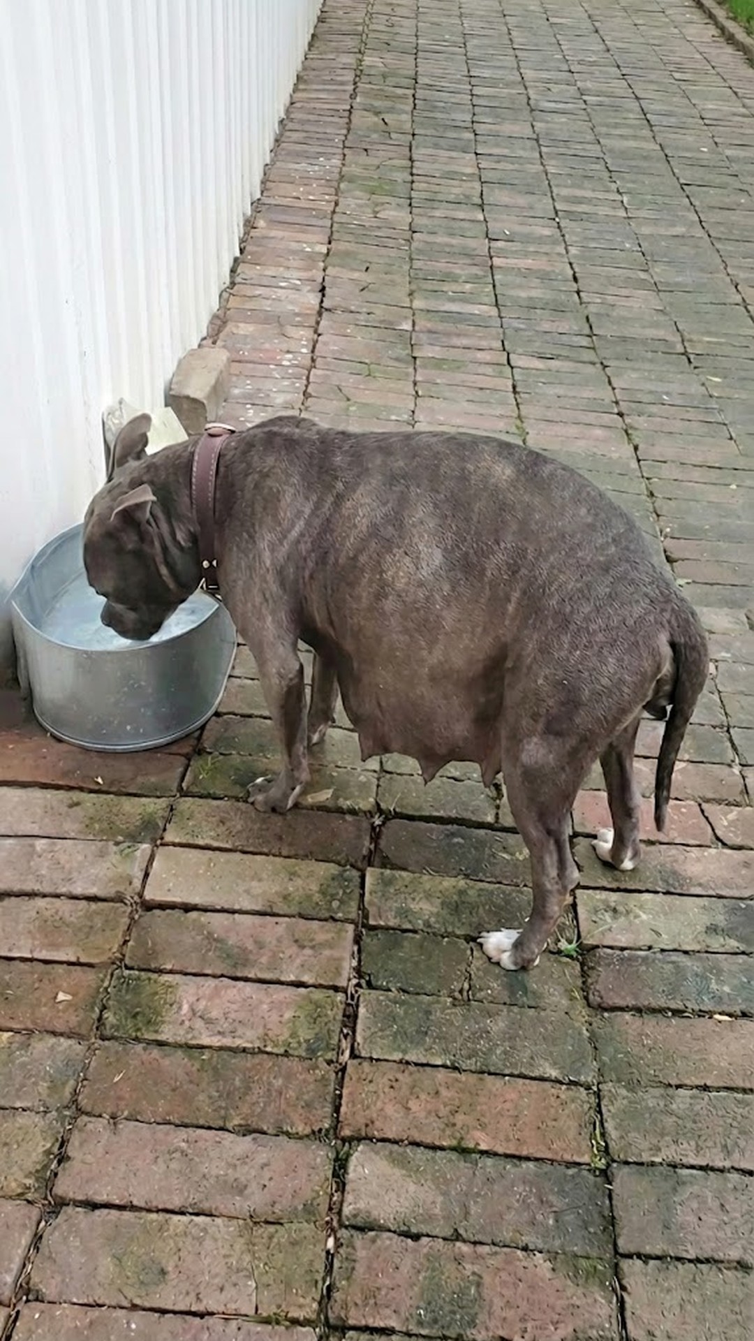 From Desperation on the Streets to Safety: Winnie’s Journey to Motherhood