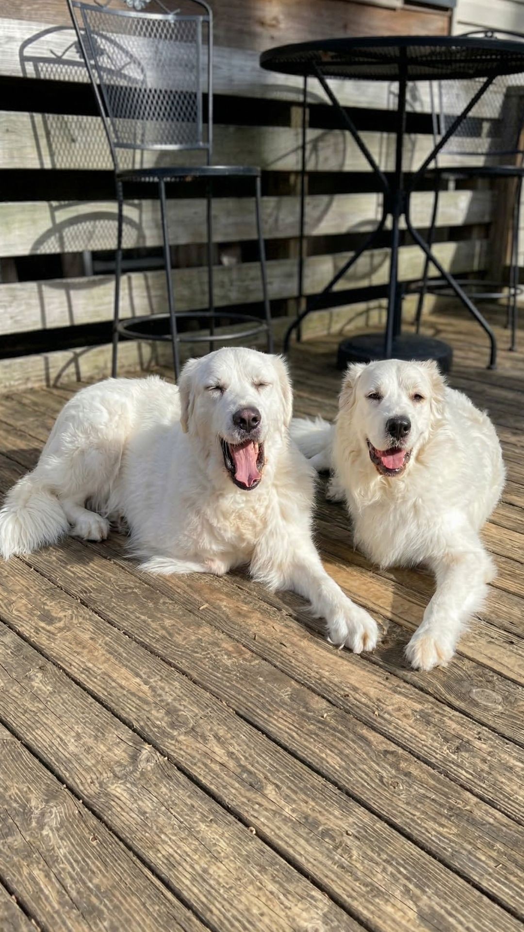 Two Brothers Reunited After Surviving Amputations and Adversity