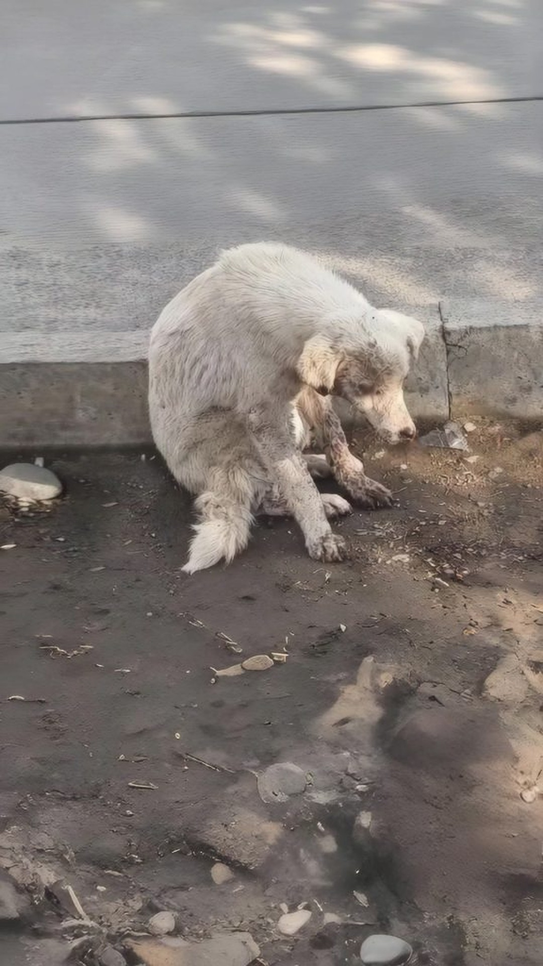 Lizzy's First Meal After 44 Days of Struggle Signals New Life