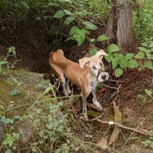 Mo's Determined Eating Signals Her Journey to Recovery
