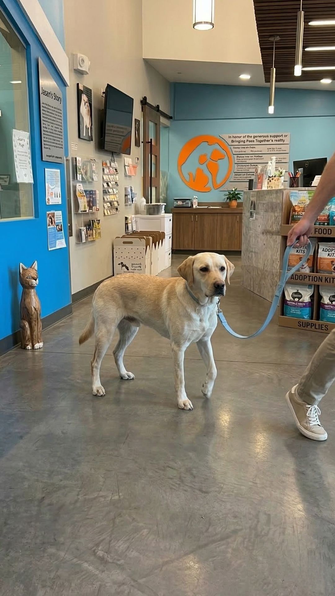 Banjo's Joyful Reunion: A Woman's 8-Hour Drive to Rescue Her Dog