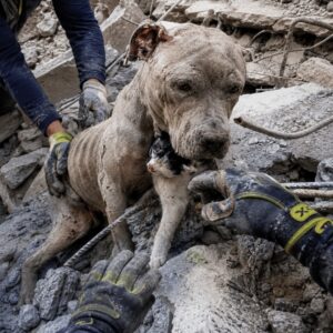 Betsy's Remarkable Recovery from Severe Trauma to Joyful Exploration