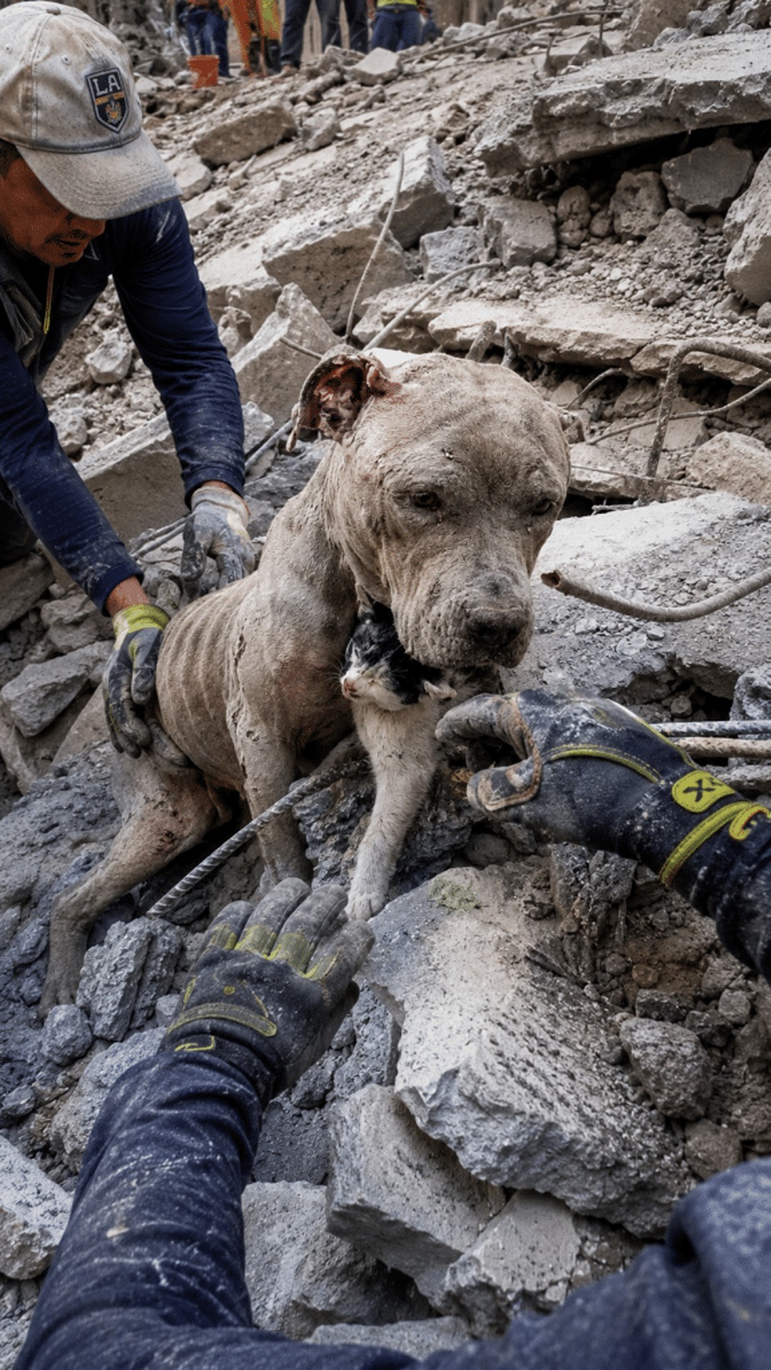Betsy's Remarkable Recovery from Severe Trauma to Joyful Exploration