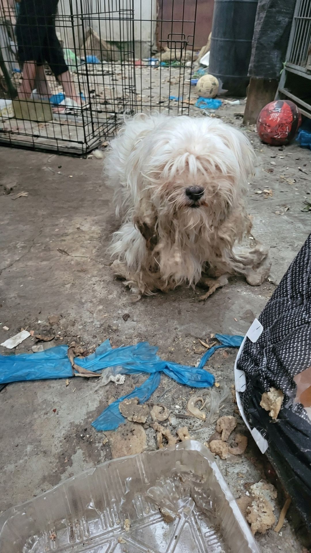 Eyelit's Transformation: Seven Days of Abandonment to a Fresh Start