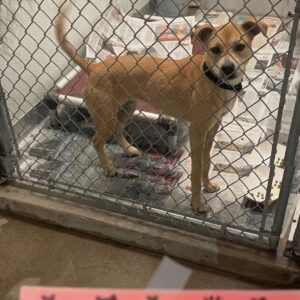 From Abandonment to Adoption: Tatiana's Journey Behind Bars