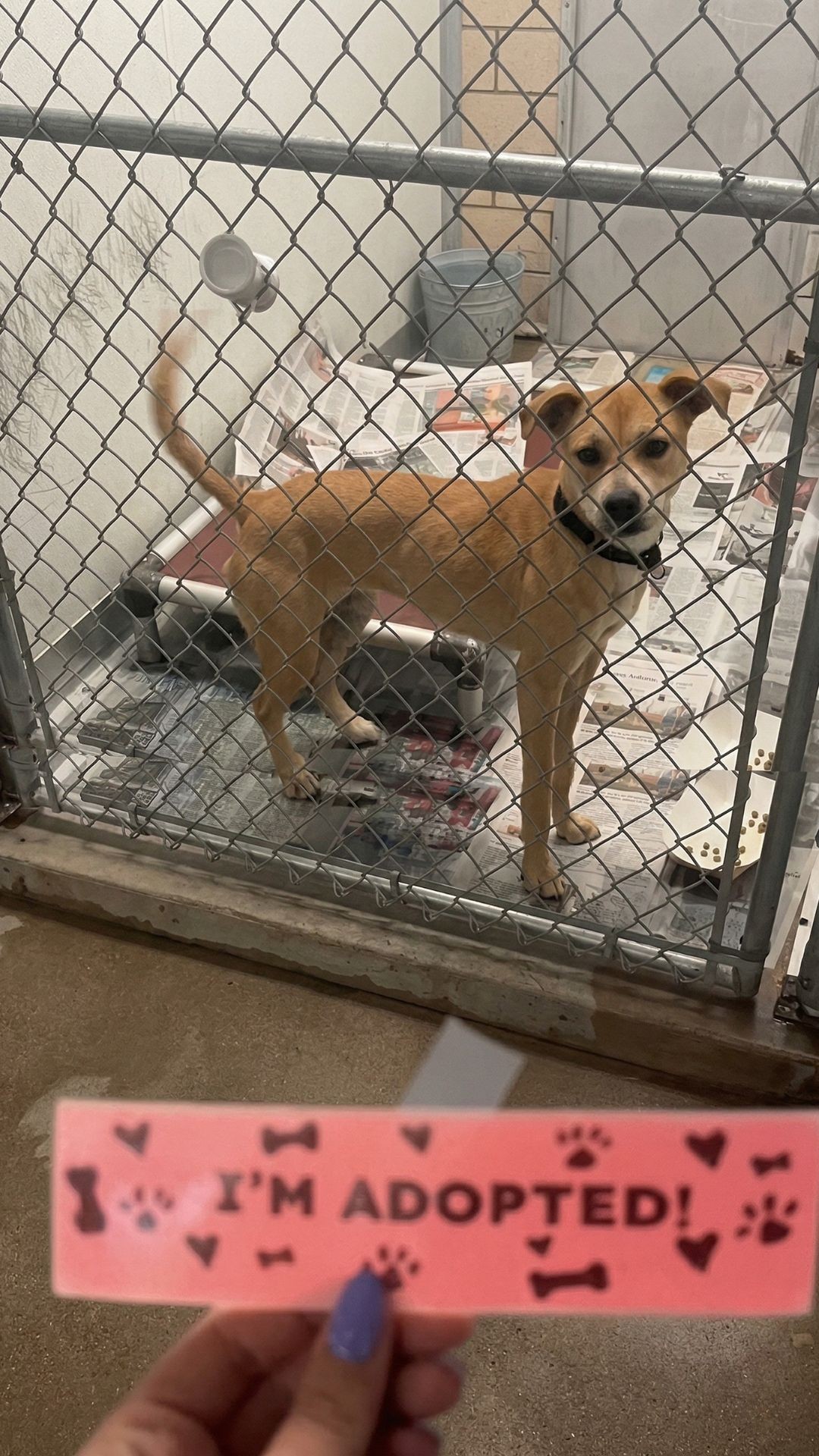 From Abandonment to Adoption: Tatiana's Journey Behind Bars