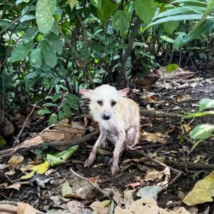 From Isolation in the Dirt to Joyful Family Life: Hope's Transformation