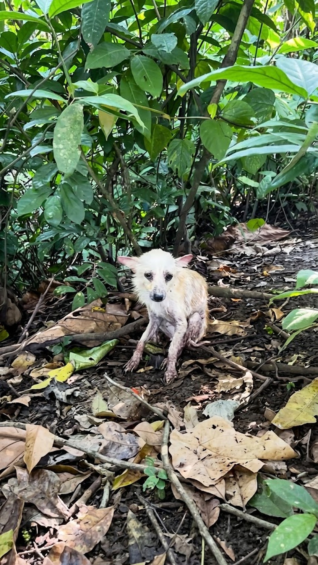 From Isolation in the Dirt to Joyful Family Life: Hope's Transformation