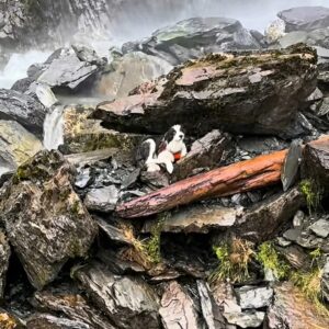 Molly Waits Seven Days on Cold Rocks After Owner's Fall