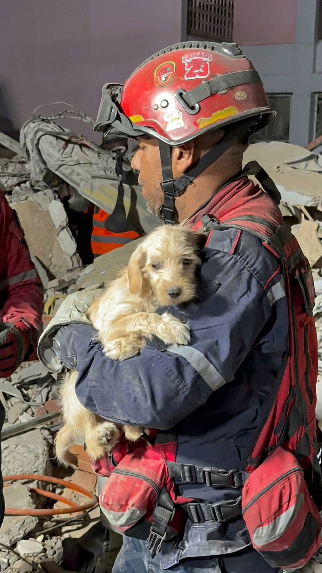 Firefighters Discover Tiny Puppy Buried in Rubble After Earthquake
