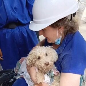 Buddy's Desperate Bark Leads to Miraculous Rescue from Rubble