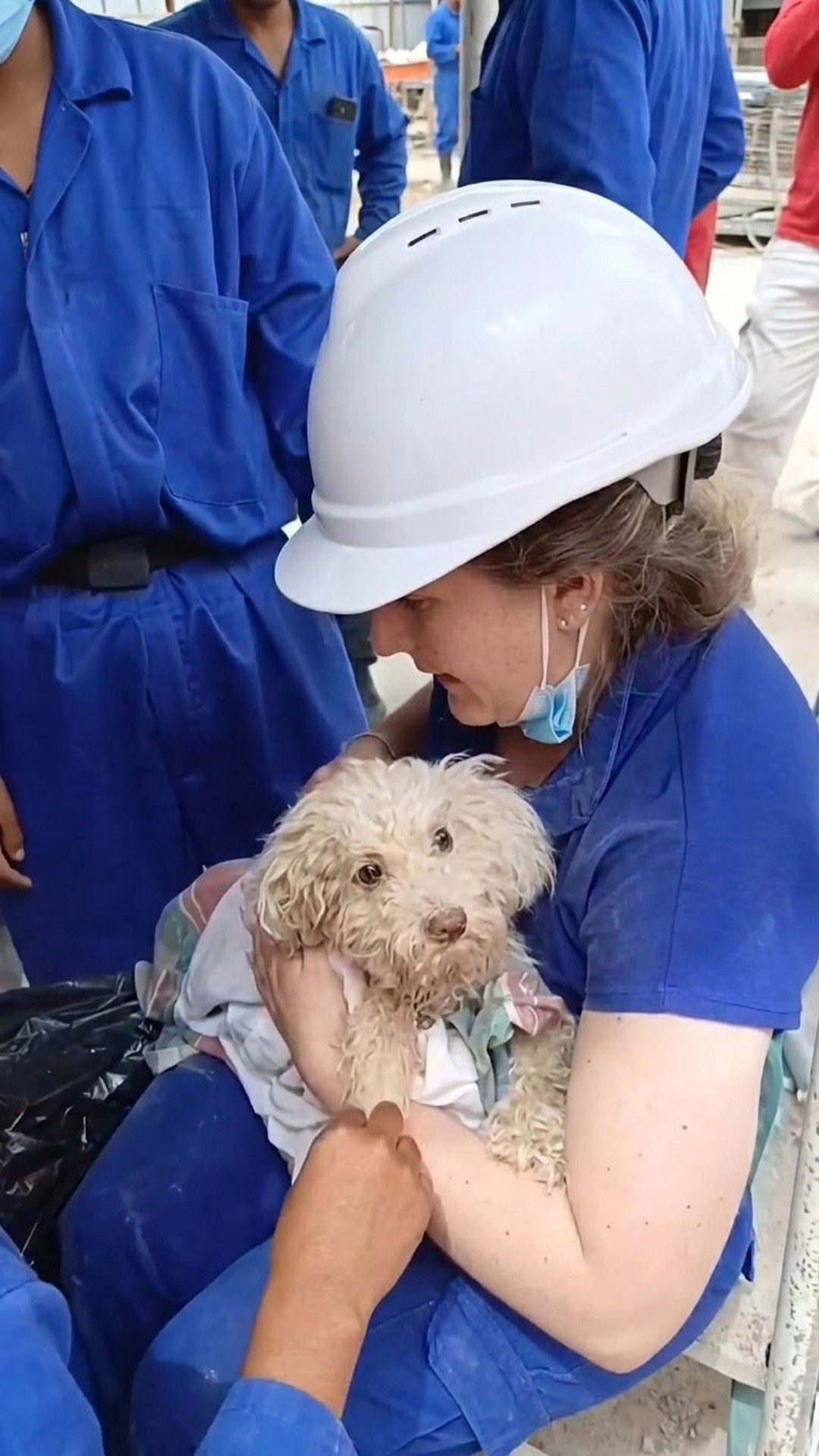 Buddy's Desperate Bark Leads to Miraculous Rescue from Rubble