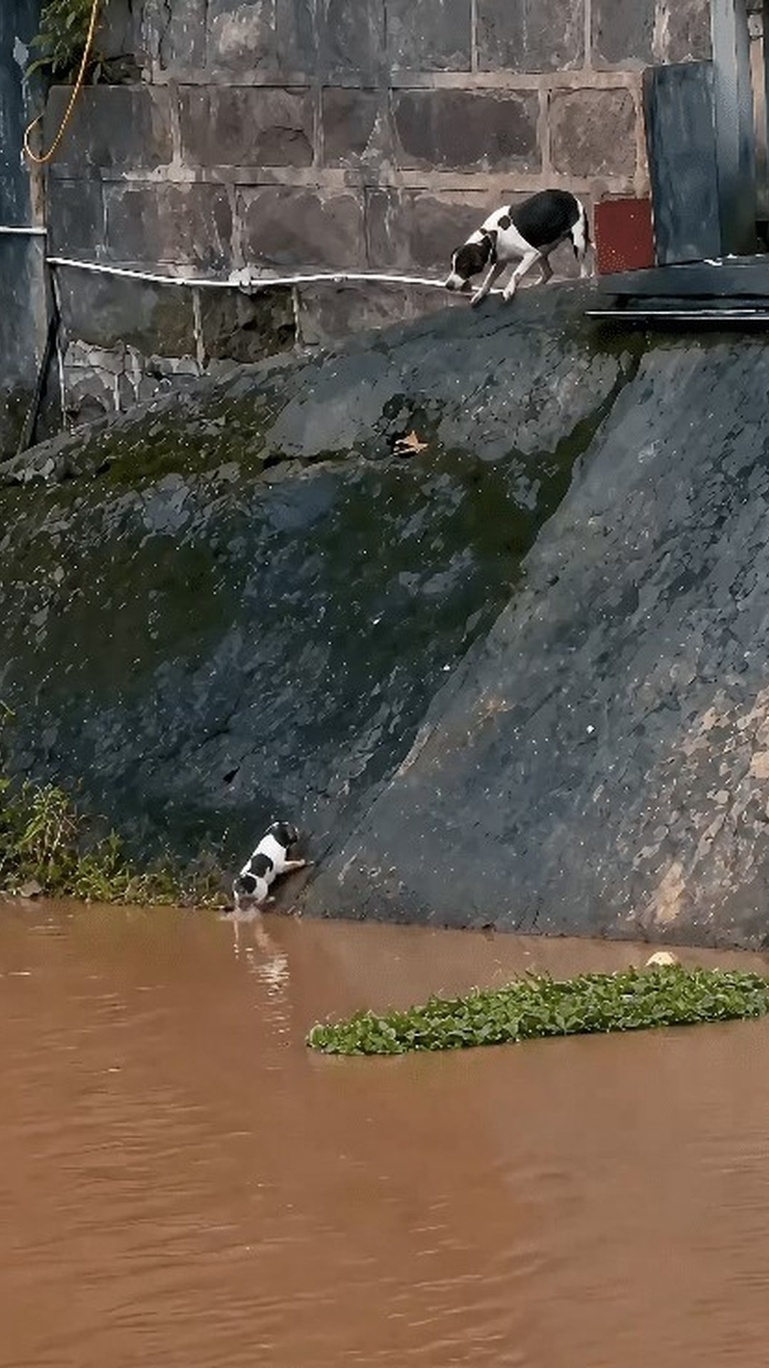 A Mother's Urgent Call Leads to a Life-Saving Rescue