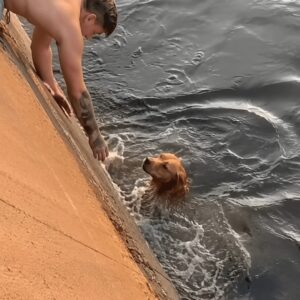 A Young Man's Quick Decision Saves a Dog from Drowning