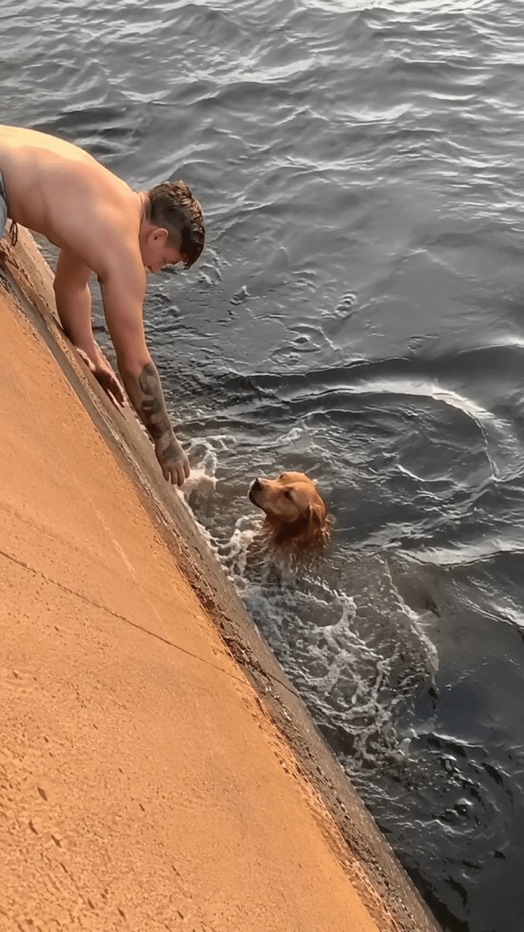 A Young Man's Quick Decision Saves a Dog from Drowning