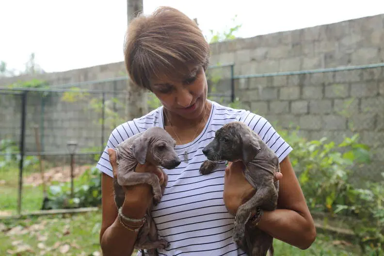 Woman holding rescued dogs in her arms